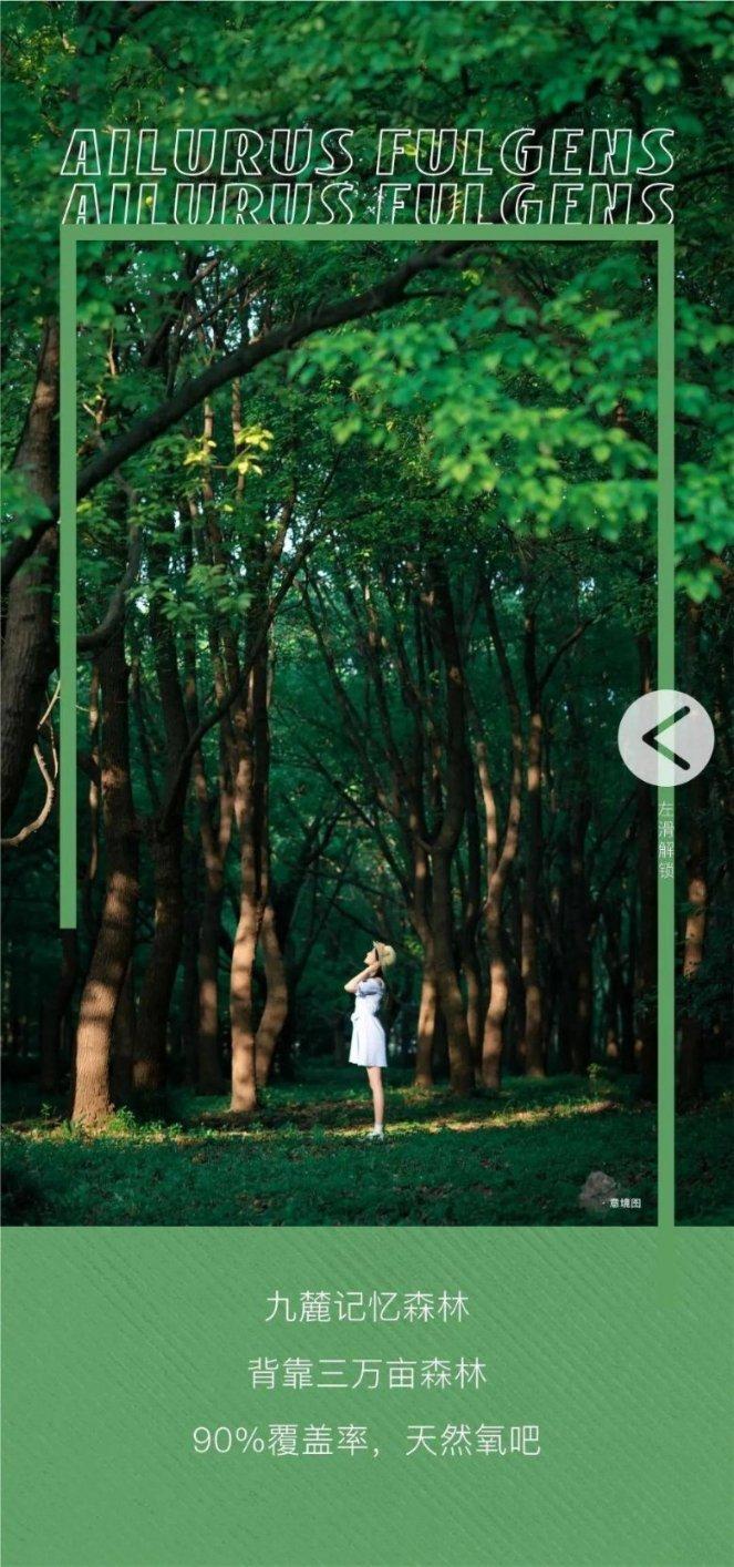 奔跑吧兄弟大冒险3