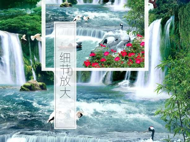 春雨直播app
