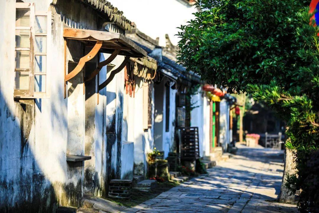 如何向老人证明某些保健品是骗人的？游戏画面
